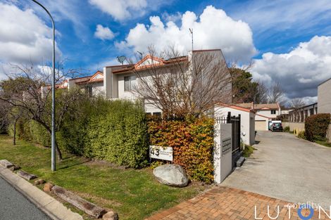 6/43 Port Jackson Cct, Phillip, ACT 2606