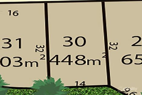 Property photo of 7 Wright Street Tivoli QLD 4305