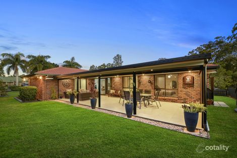 Property photo of 15 Kentia Street Carseldine QLD 4034