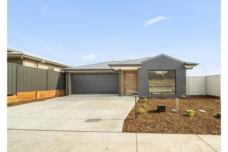 74 Alpine Ash Way, Tralee, NSW 2620