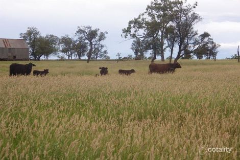 214 Coleraine Rd, Mitchell, QLD 4465