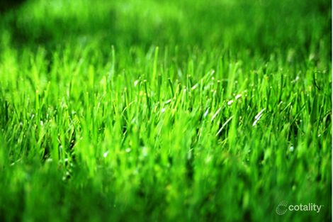 22 Eloise Cct, Officer, VIC 3809