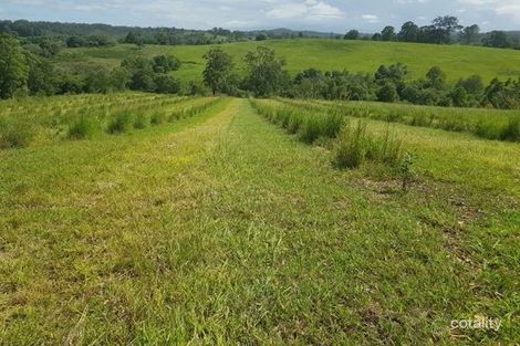 105 Allgomera Rd, Allgomera, NSW 2441