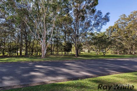 Property photo of 20 Shelgate Street Chermside West QLD 4032