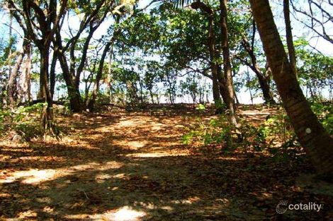 Property photo of 62 Esplanade Wonga Beach QLD 4873