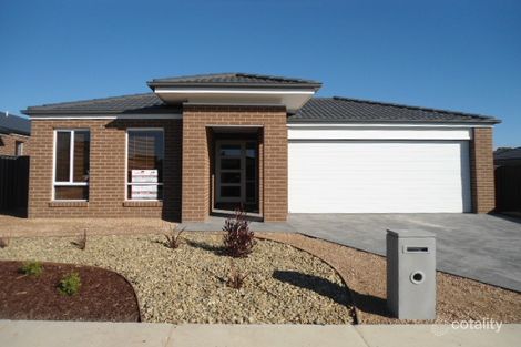 1913 Callaghan St, Jackass Flat, VIC 3556