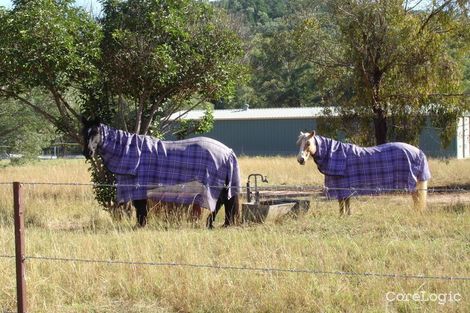 Property photo of 755 Daruka Road Daruka NSW 2340