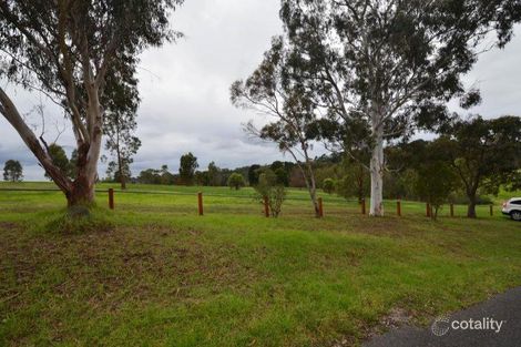 Property photo of 31 McCallum Road Doncaster VIC 3108