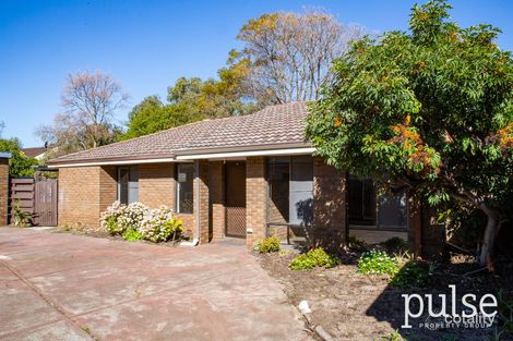 Property photo of 4A Throsby Street Shelley WA 6148