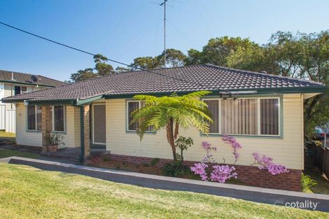 Property photo of 53 John Street Belmont North NSW 2280