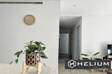 Property photo of 162/9 Grazier Street Lidcombe NSW 2141