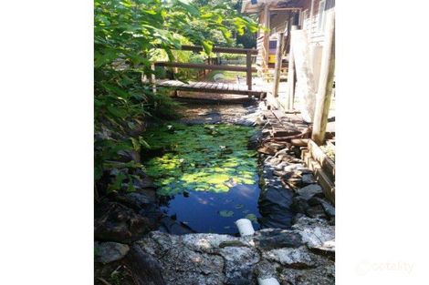 Property photo of 10 White Beech Road Cow Bay QLD 4873