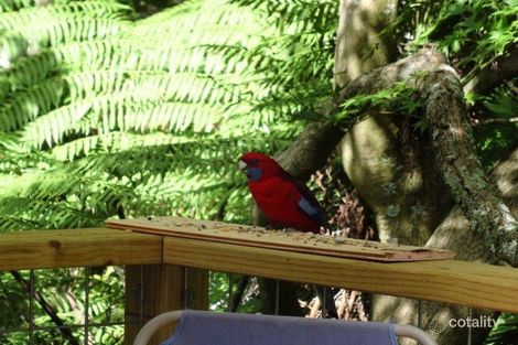 Property photo of 55 Kallista-Emerald Road The Patch VIC 3792