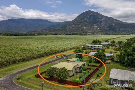 Property photo of 1 Nielsen Street Aloomba QLD 4871
