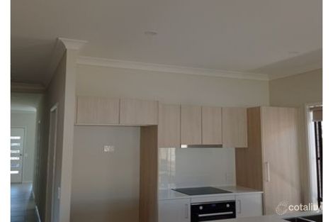 Property photo of 3 Spruce Circuit Hillcrest QLD 4118