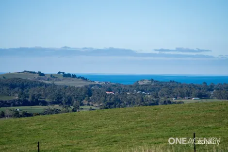 Property photo of 455 Preolenna Road Flowerdale TAS 7325