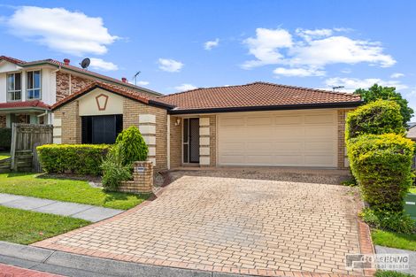 Property photo of 6 Joyce Crescent Bracken Ridge QLD 4017