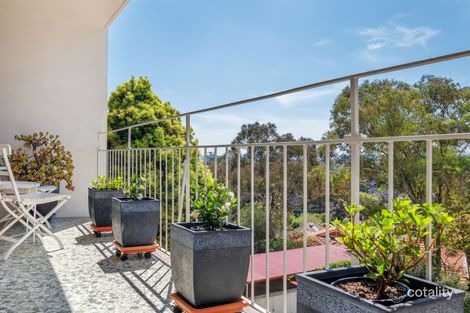 Property photo of 17/11-13 Longueville Road Lane Cove North NSW 2066