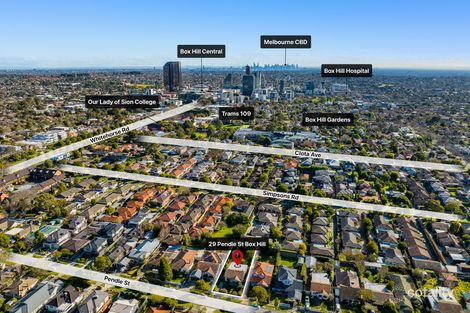 Property photo of 29 Pendle Street Box Hill VIC 3128