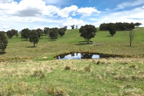 3564 Niangala Rd, Walcha, NSW 2354