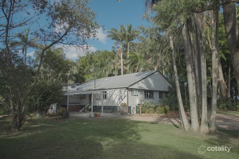 Property photo of 275 Signata Road Pimlico NSW 2478