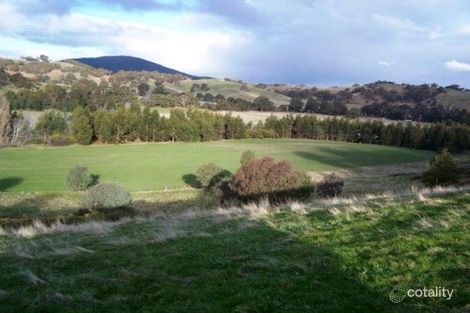 443 Nowhere Creek Rd, Nowhere Creek, VIC 3469