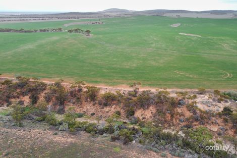 Property photo of 109 Birdseye Highway Cowell SA 5602