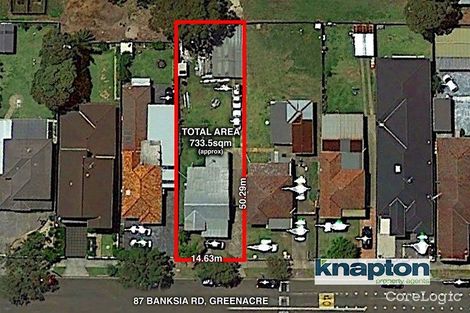 87 Banksia Rd, Greenacre, NSW 2190