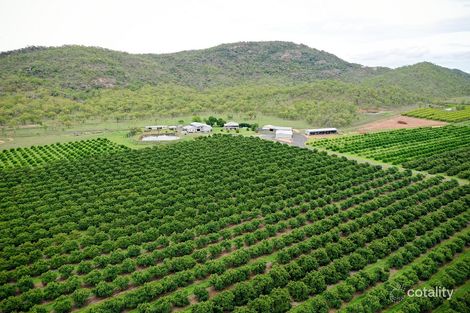 64 Mcleod Rd, Mutchilba, QLD 4872