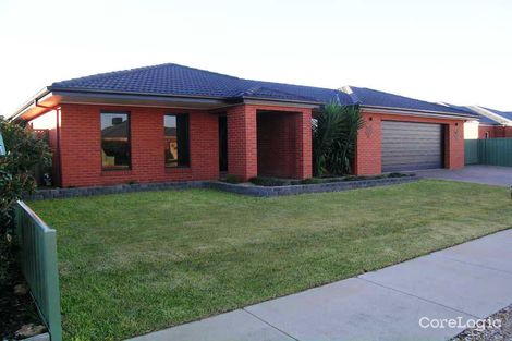 Property photo of 9 Finch Street Kialla VIC 3631