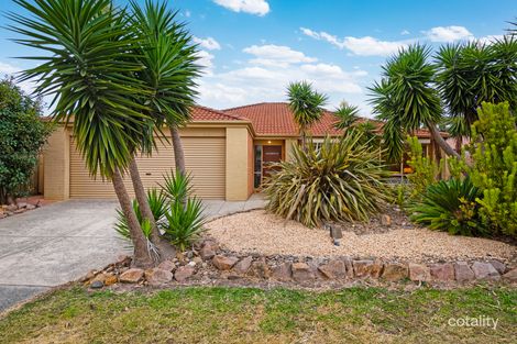 Property photo of 24 Hasluck Crescent Lynbrook VIC 3975