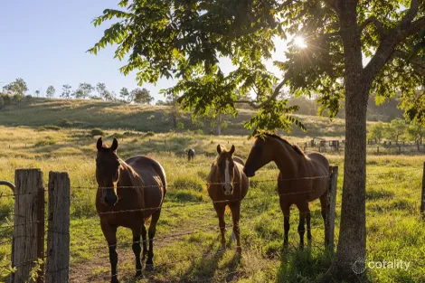 Property photo of 115 Northbrook Parkway Dundas QLD 4306