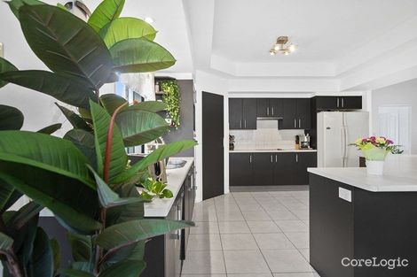 Property photo of 22 Cordyline Drive Reedy Creek QLD 4227