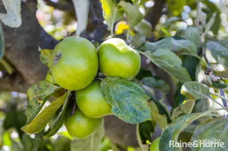 Property photo of 5 Walker Street Sorell TAS 7172