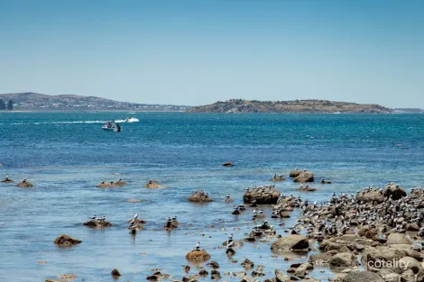 Property photo of 21 Davies Street Encounter Bay SA 5211