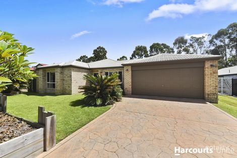 Property photo of 31 Juniper Court Narangba QLD 4504