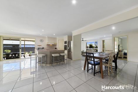 Property photo of 31 Juniper Court Narangba QLD 4504