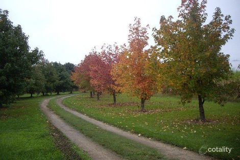 8628 Tweed Valley Way, Tumbulgum, NSW 2490