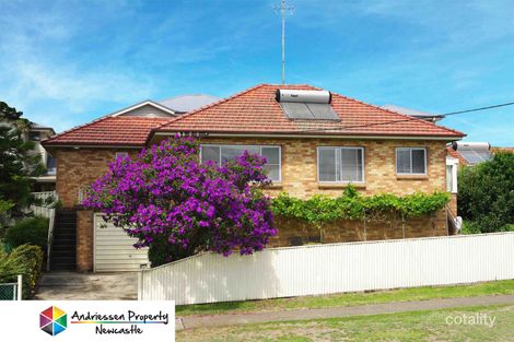 Property photo of 4 Munibung Road Cardiff NSW 2285