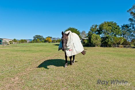 Property photo of 135 Fingerboard Road Dayboro QLD 4521
