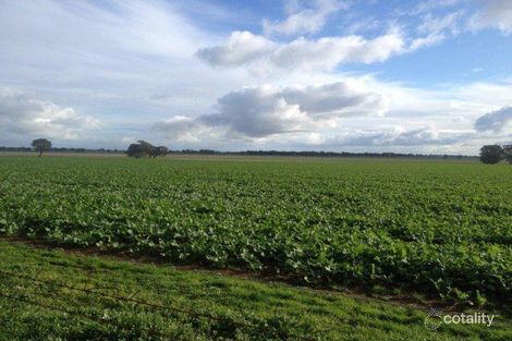 2791 Sturt Hwy, Collingullie, NSW 2650