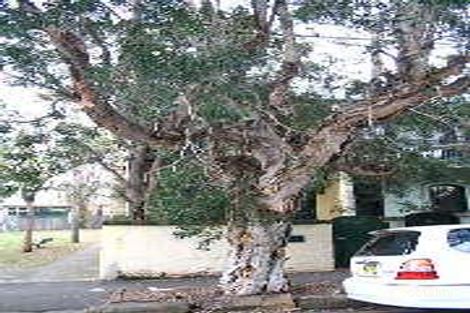 92 Burren St, Erskineville, NSW 2043