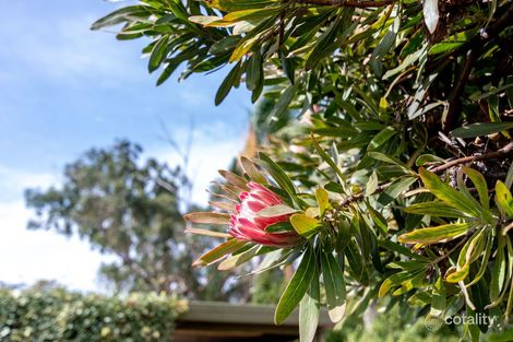 Property photo of 3/56-58 Sherriffs Road Morphett Vale SA 5162