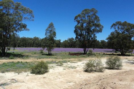 Property photo of Goodwins Road Coolmunda QLD 4387