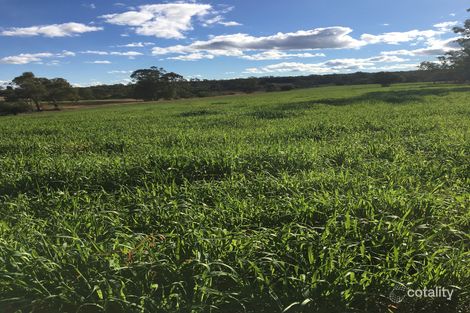 3261 Gragin Rd, Warialda, NSW 2402