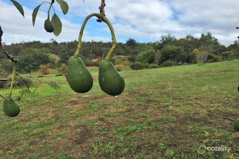 6 Zavatteri Rise, Roleystone, WA 6111