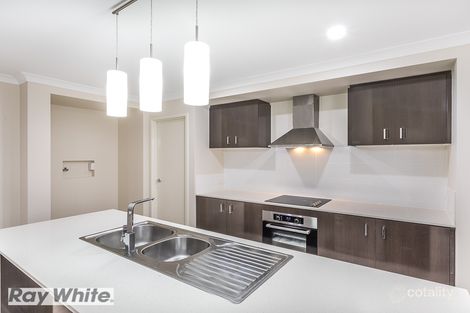 Property photo of 115 Campbell Drive Mango Hill QLD 4509