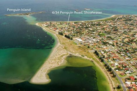 Property photo of 6/34-36 Penguin Road Shoalwater WA 6169