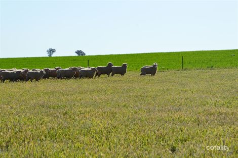 697 Tooyal Rd, The Gap, NSW 2650