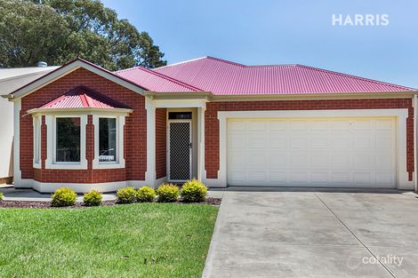 12 Dutton Ave, Hectorville, SA 5073